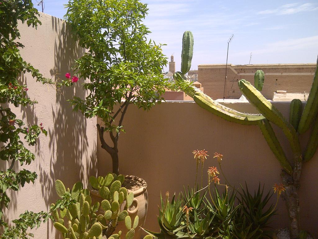 Riad Irene Marrakesh Exteriör bild