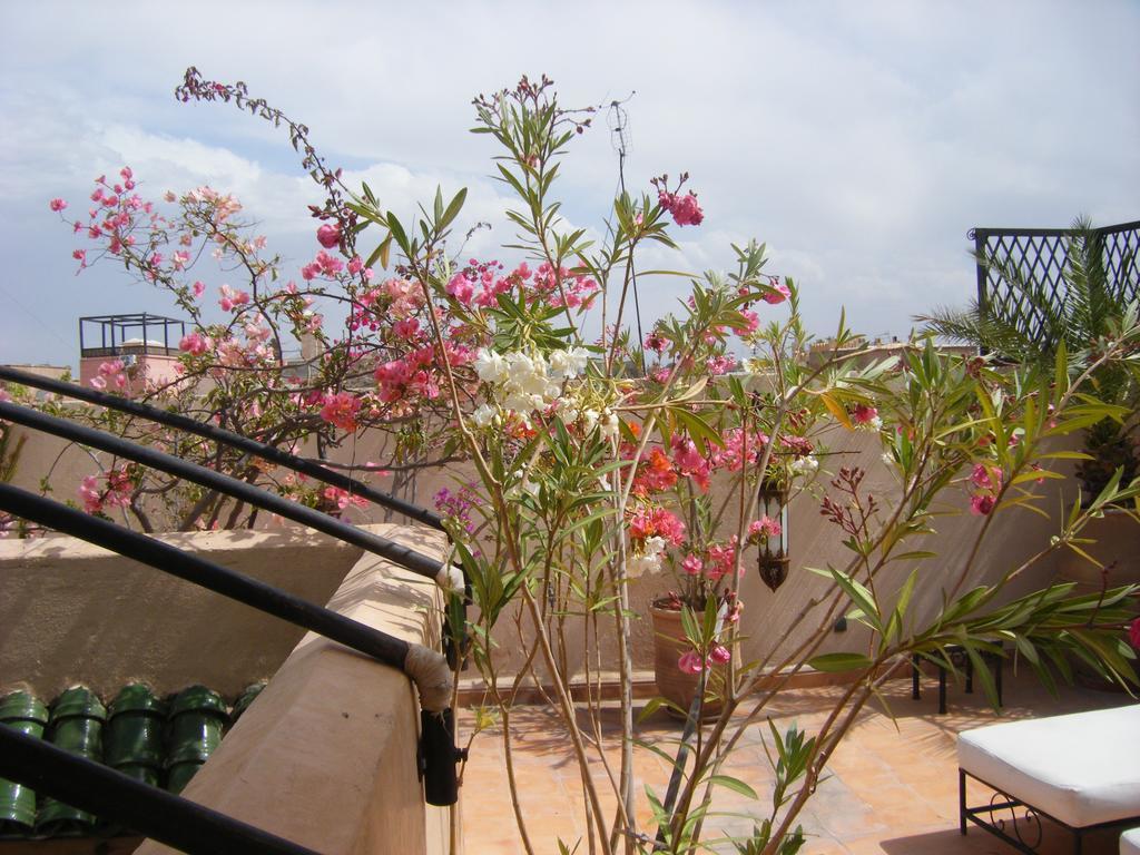 Riad Irene Marrakesh Exteriör bild